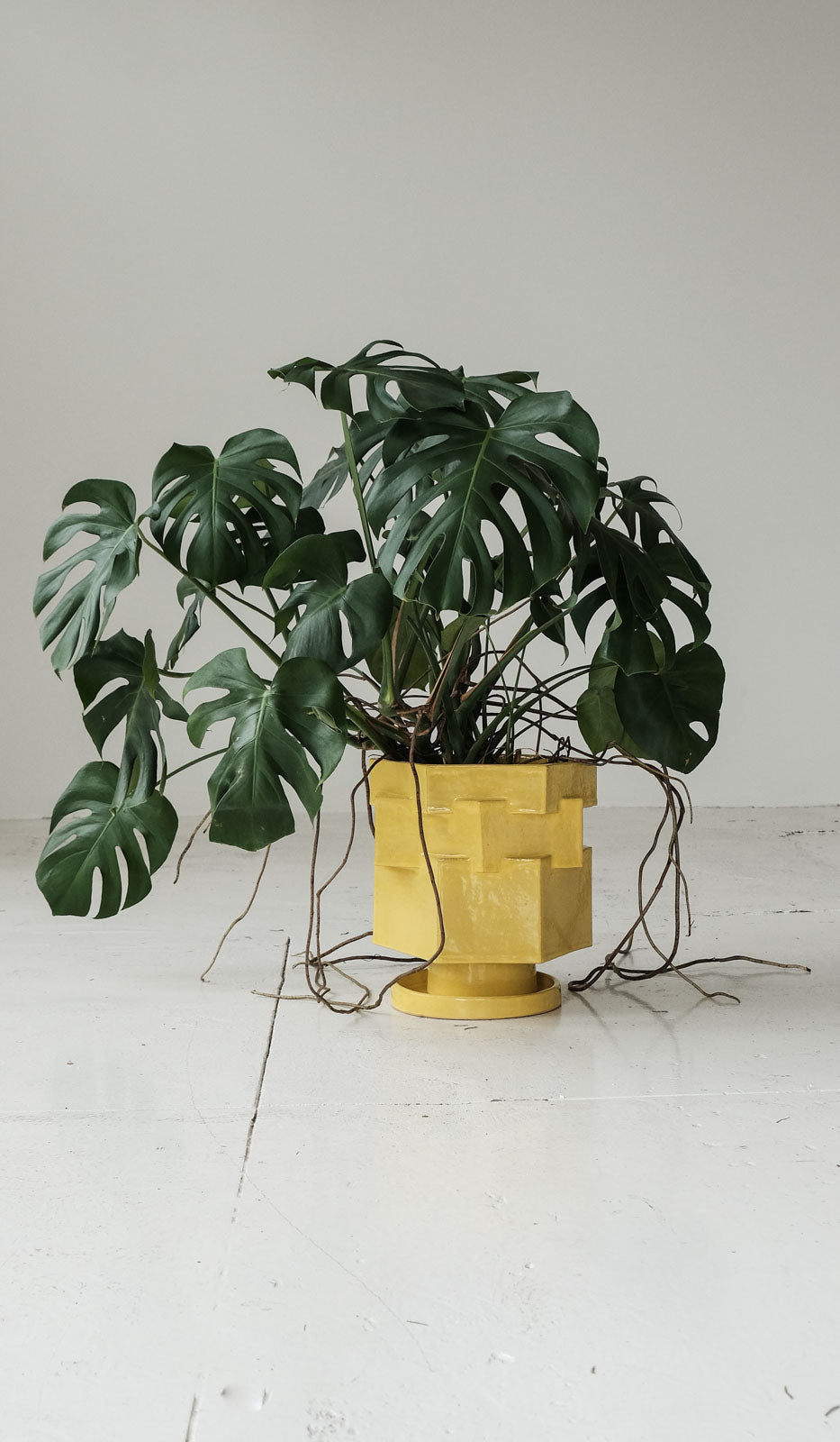 DISCONTINUED 3/25 B Zippy XL Hex Planter - Spartan Shop