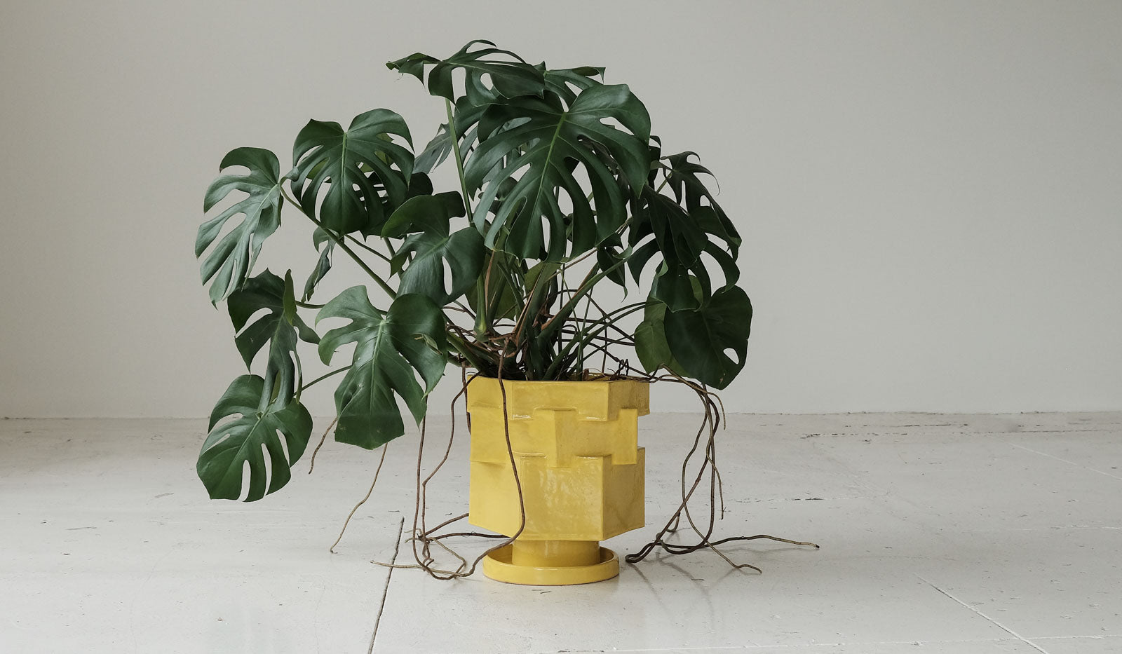 DISCONTINUED 3/25 B Zippy XL Hex Planter - Spartan Shop